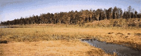 A view from Lammasper, west of Lake Kivi-Kiekki