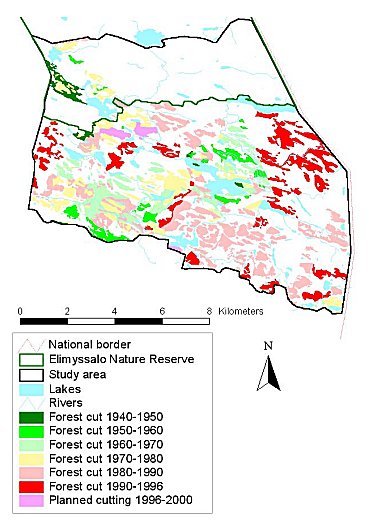 The extent of forest cutting in Kiekki from 1940-2000.