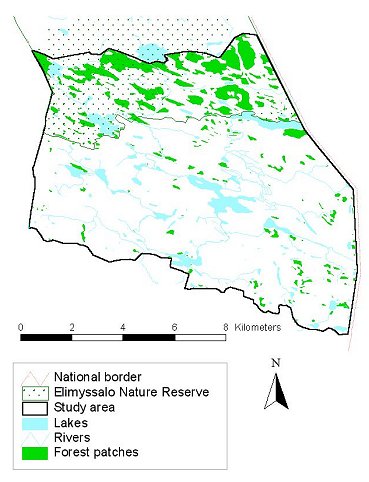 A future scenario with maximum economic timber harvesting and continued clearcutting.